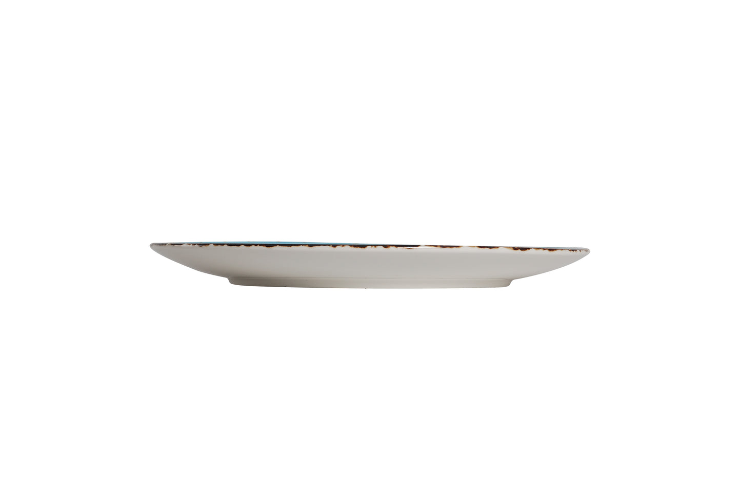 AW-8748B – 10.75’’ Coupe Plate Splash Sky Blue