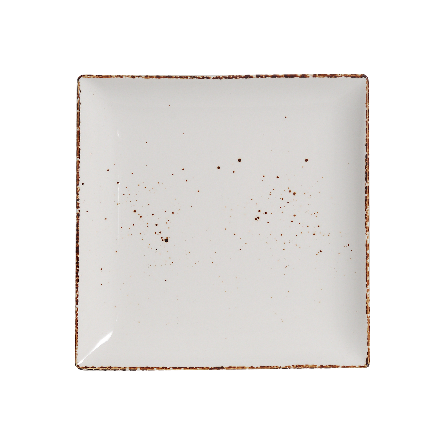 AW-8762 – 10’’ Square Plate Splash Blanch