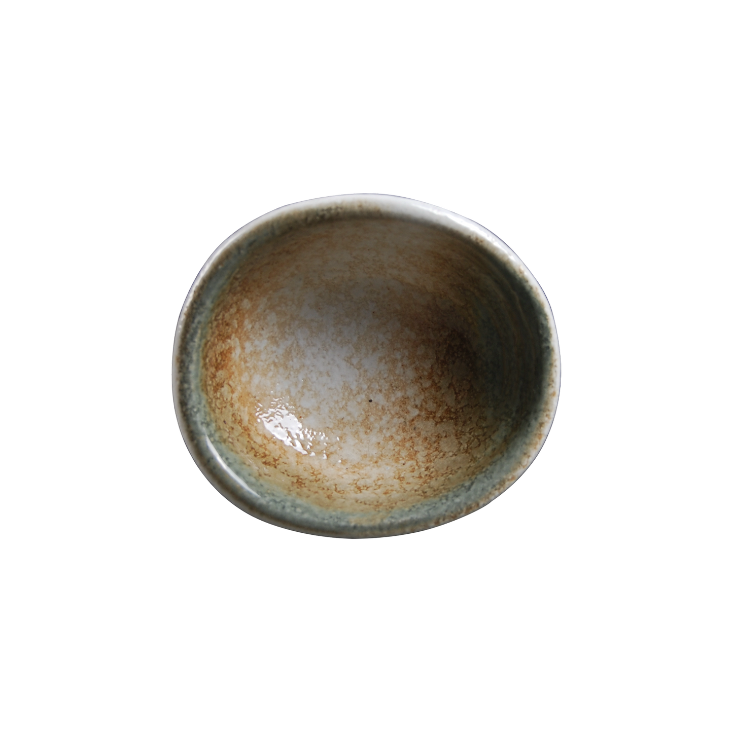 BK-2018 – 3.75'' Dish Seaweed Marine 2 Oz.