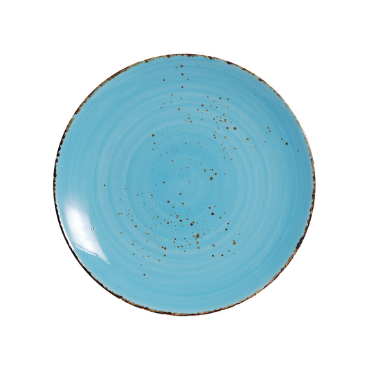 AW-8748B – 10.75’’ Coupe Plate Splash Sky Blue