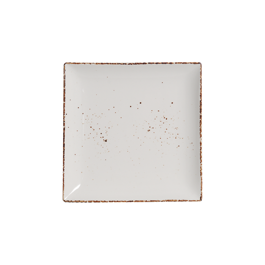AW-8760 – 8’’ Square Plate Splash Blanch