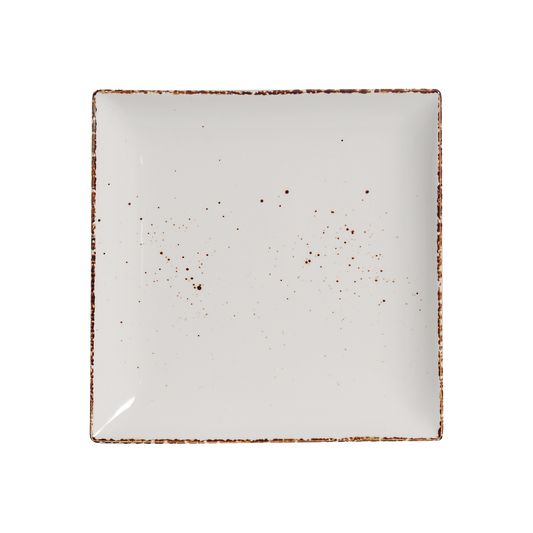 AW-8762 – 10’’ Square Plate Splash Blanch
