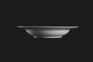 RF1041: 8.5" Platinum Rim Soup Plate White Side View